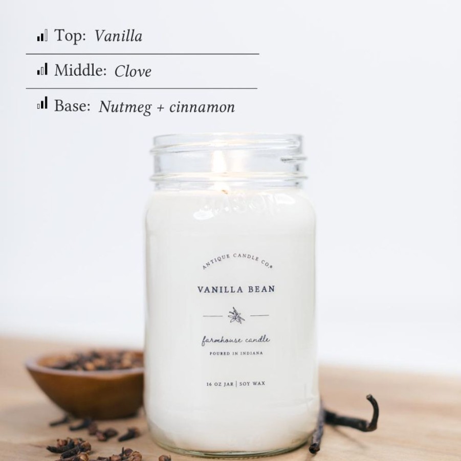 Candles Antique Candle Co | Vanilla Bean 16 Oz Candle